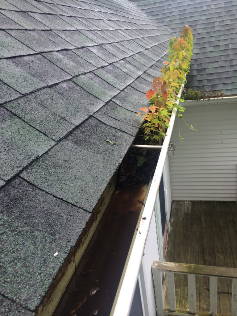 The Home Team Gutter Cleaning Service